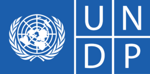13. undp-logo